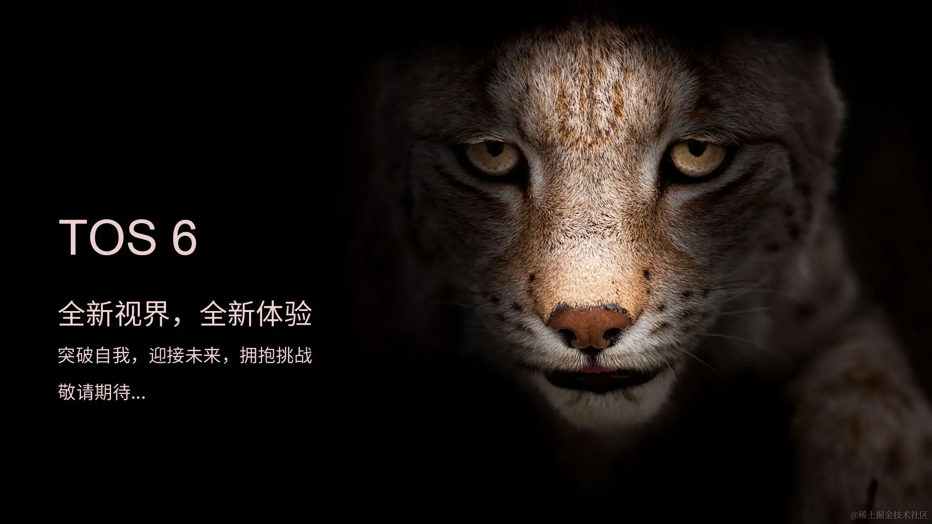 tos6post-v1-cn.jpg