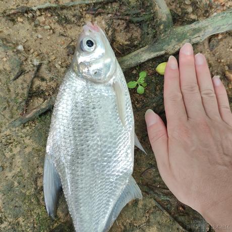 小吕布_Gumayusi于2023-08-21 10:10发布的图片