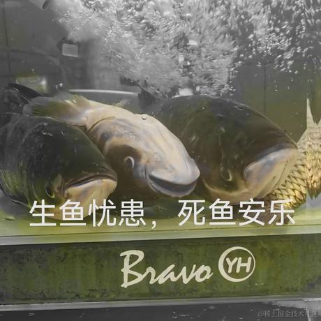 杉木笙于2023-09-22 08:13发布的图片