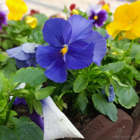 onetwo于2022-11-21 14:02发布的图片