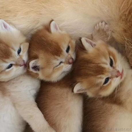 西红柿盖饭于2022-11-25 12:51发布的图片