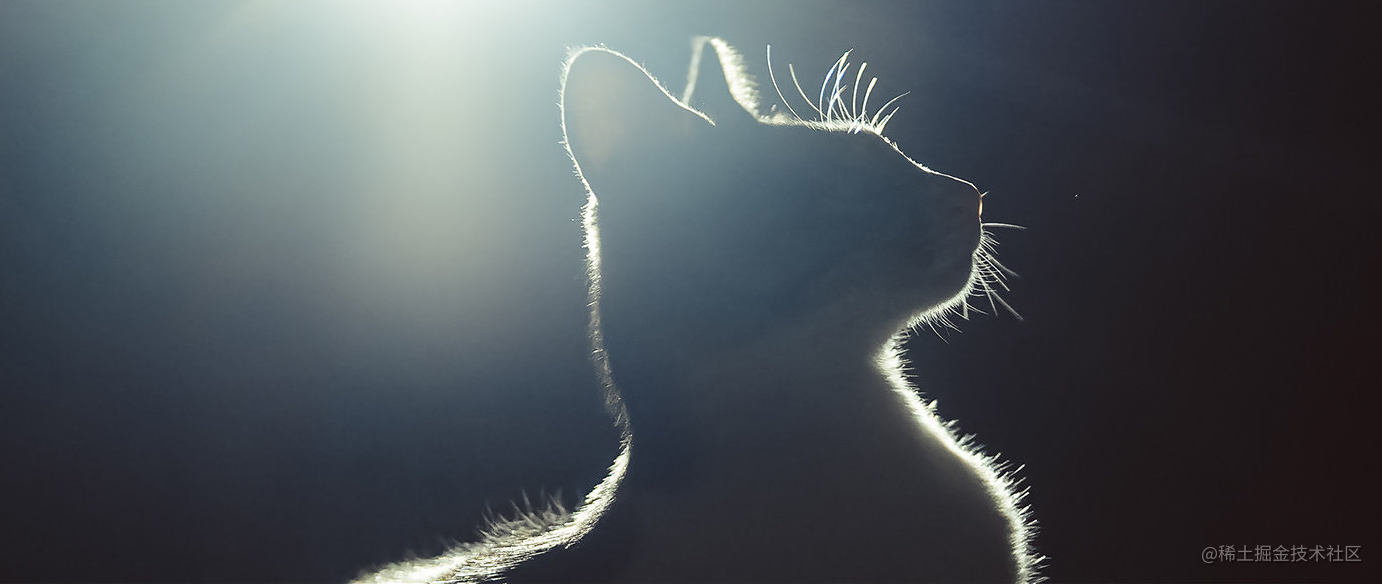 程序员的百样生活