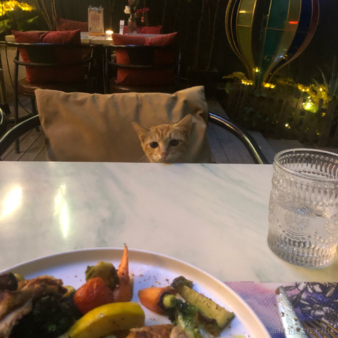 紫菜捏于2022-11-11 10:34发布的图片