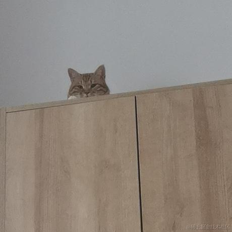 下凡冲浪辛苦了于2022-11-27 23:06发布的图片