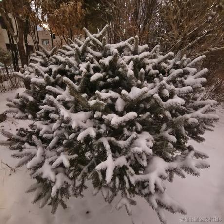 贝极星来喽于2022-11-22 14:56发布的图片