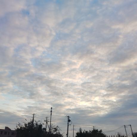 蓝书签乀于2022-11-02 22:31发布的图片