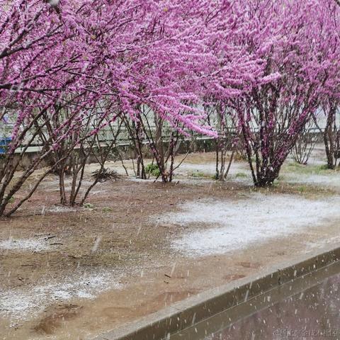 wumian233333于2023-03-28 11:07发布的图片