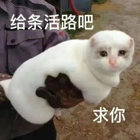 对对对你说得对于2022-12-13 00:30发布的图片