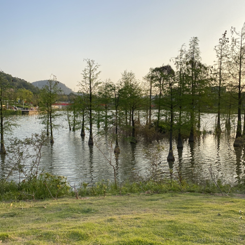 103于2022-04-10 22:20发布的图片