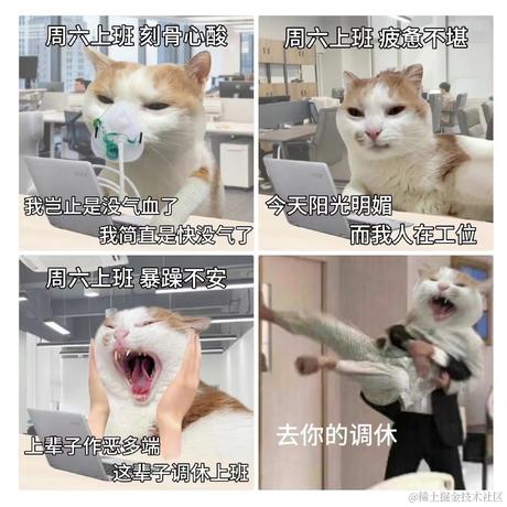 哇趣于2024-05-11 09:29发布的图片