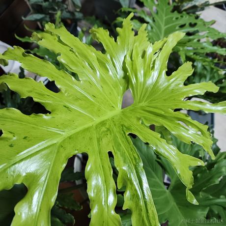 BK0717于2022-12-06 18:16发布的图片