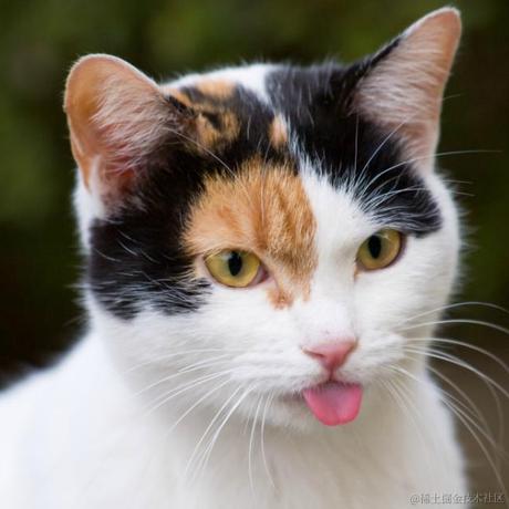 樱缘之梦于2022-11-26 13:53发布的图片