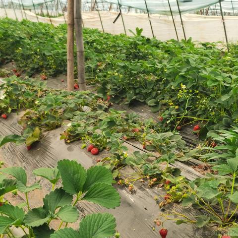 夜尽灬天明丶于2022-05-23 20:47发布的图片