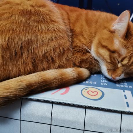 柒弎于2022-12-02 14:47发布的图片