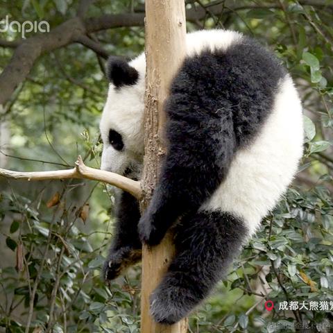 秉烛夜游于2021-09-30 09:06发布的图片