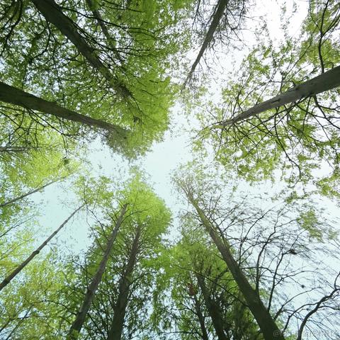 像风一样自由_xjy于2023-04-07 00:34发布的图片