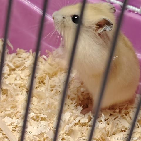 五弦奏南风于2023-03-11 10:08发布的图片