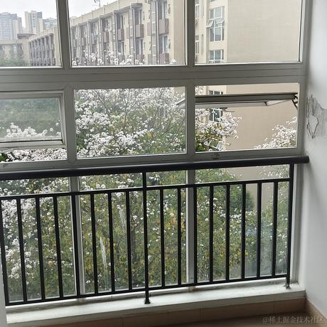 此刻韶华于2023-04-26 09:45发布的图片