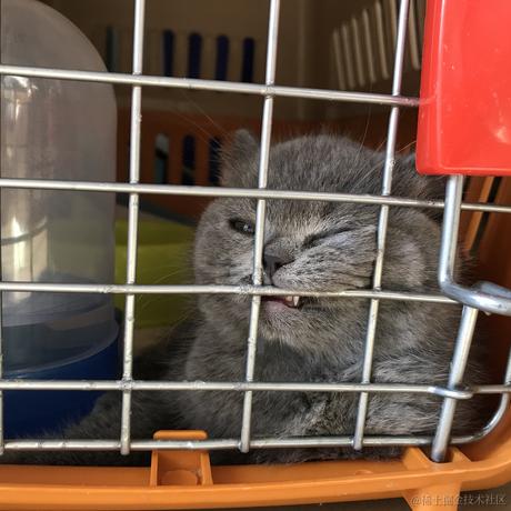 Jessie于2021-11-22 15:08发布的图片