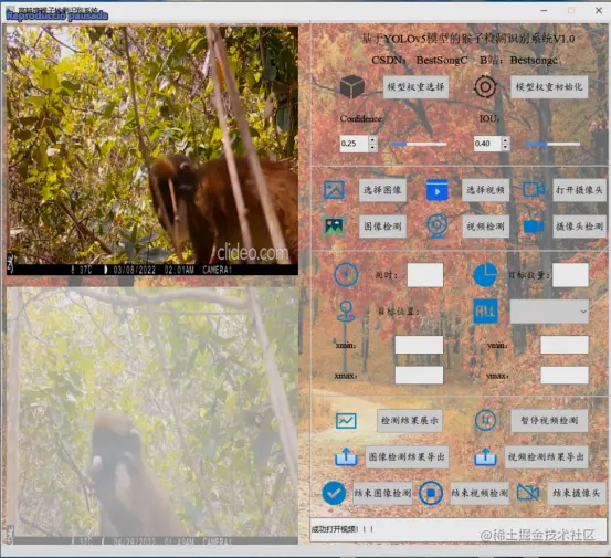 高精度猴子检测识别系统2412.png