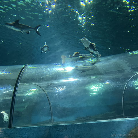 苏州第一深情于2024-04-15 09:04发布的图片