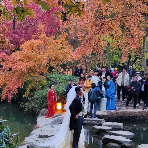 优秀稳妥的金枪小魔王于2023-11-22 11:24发布的图片