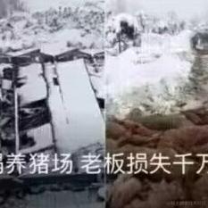 w海阔天空于2022-11-19 22:39发布的图片