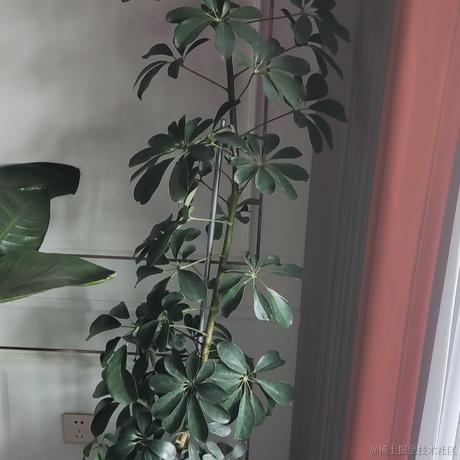 一直爱然然哦于2022-12-07 13:10发布的图片