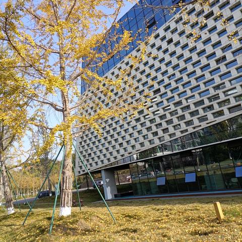 BK0717EMIN于2022-11-25 10:20发布的图片