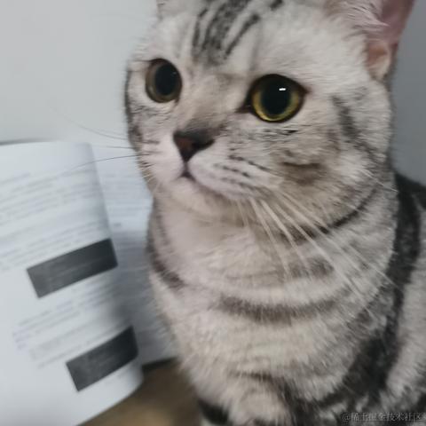 东方小月于2022-06-23 22:32发布的图片