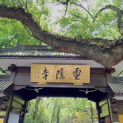凌晨三点的猫于2023-05-04 15:33发布的图片