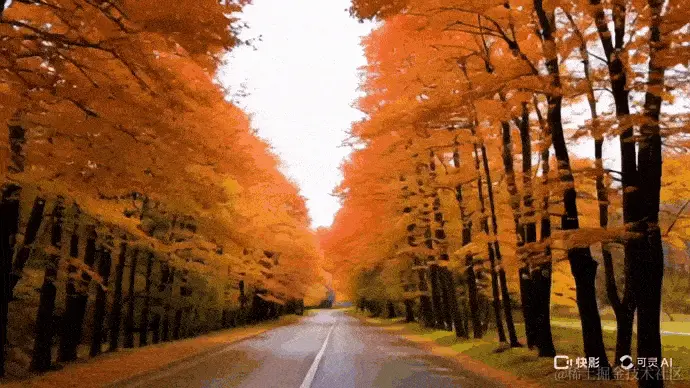 f3fcb113569f166edecfabca3ceaac1c-min (1).gif