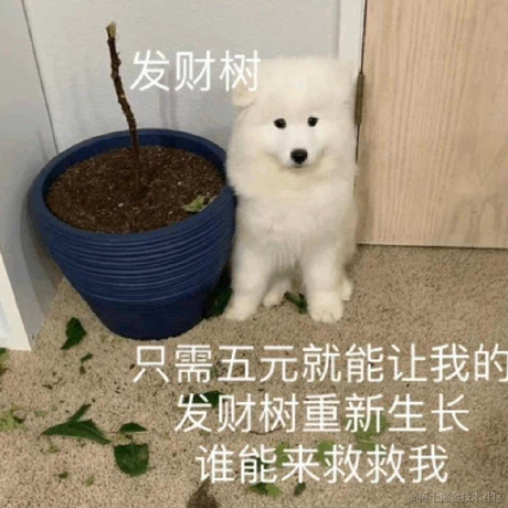 mql的爹于2022-11-17 19:02发布的图片