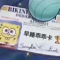 小琳天天开心于2022-11-16 17:15发布的图片