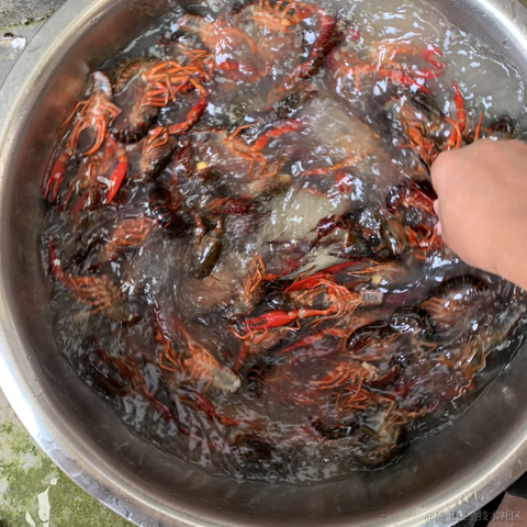 优秀员工不受影响于2023-06-24 16:49发布的图片