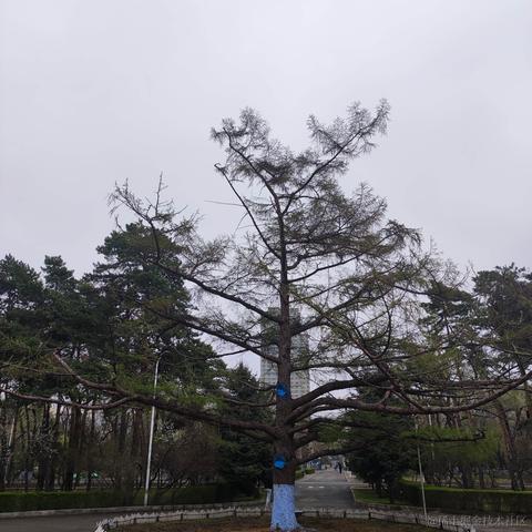 EricKwok于2022-05-01 11:15发布的图片