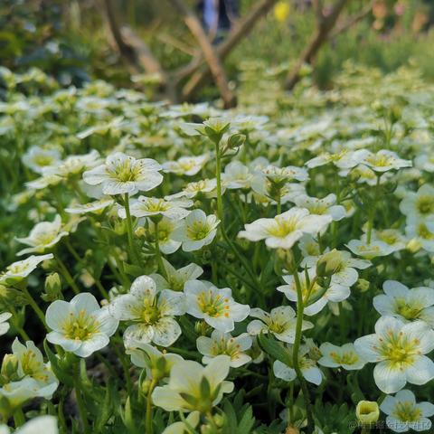 小小喵于2023-03-11 11:57发布的图片