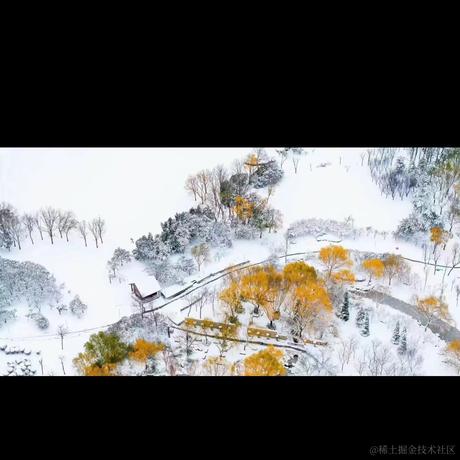 板砖村长于2023-12-14 13:59发布的图片