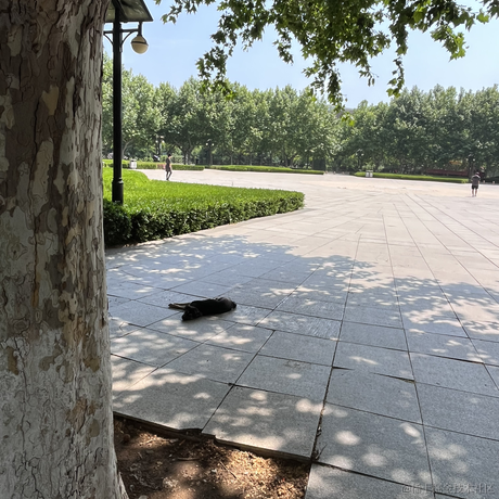 月球背面于2023-06-07 15:10发布的图片