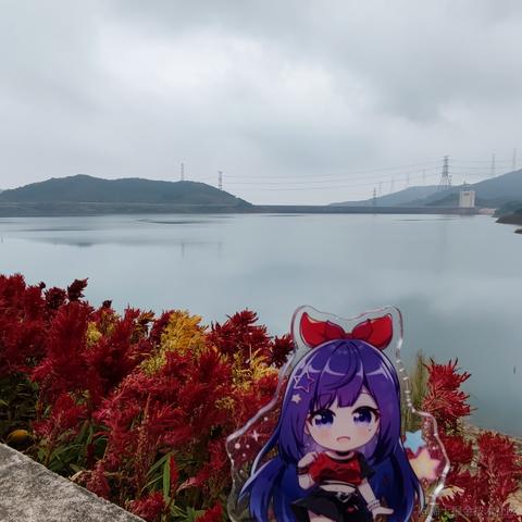 脆弱杨桃干于2022-11-12 18:04发布的图片