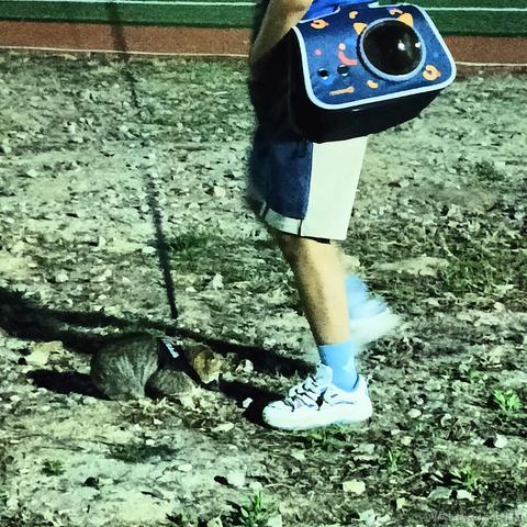 做着摘星的梦于2023-04-10 23:47发布的图片