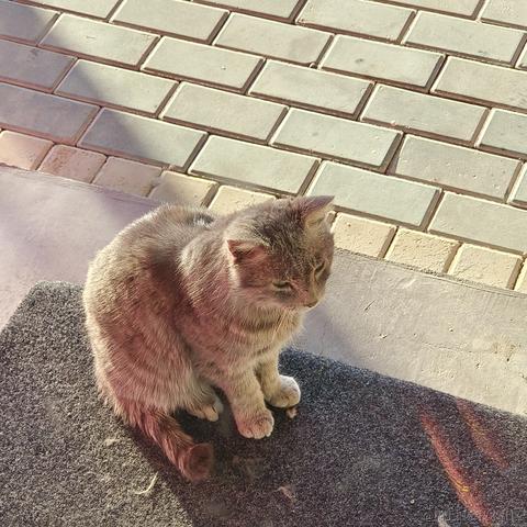 用户9132133315776于2022-12-10 21:17发布的图片