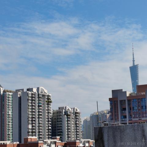 晚晚郁金香于2022-11-09 17:55发布的图片