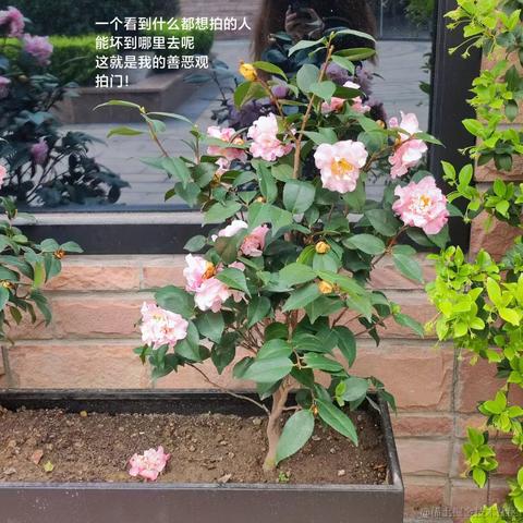 0FFH于2023-04-23 11:18发布的图片