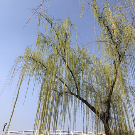 bettersun于2023-03-05 14:01发布的图片