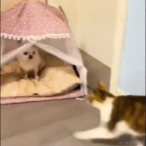 Daniel_01于2022-07-19 09:05发布的图片