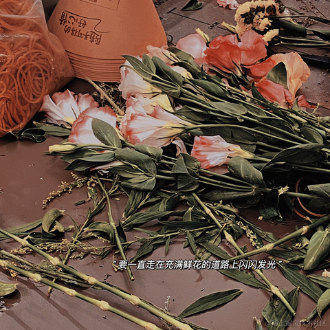 已注销于2021-11-16 21:03发布的图片