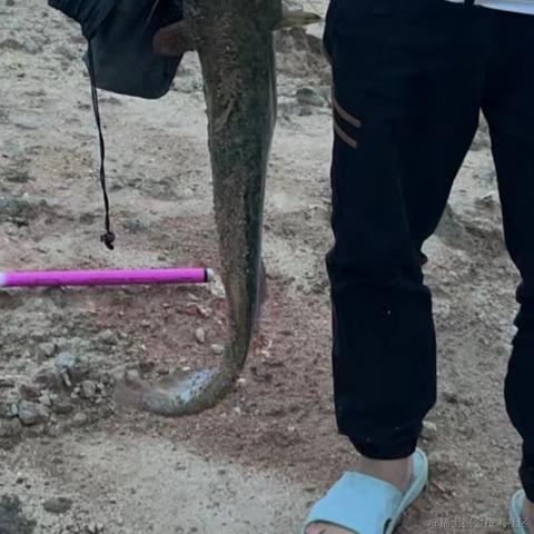 小吕布_Gumayusi于2024-05-06 09:49发布的图片