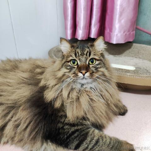 汪等等于2022-04-07 11:17发布的图片