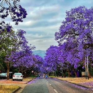 johnfu于2024-06-25 16:30发布的图片